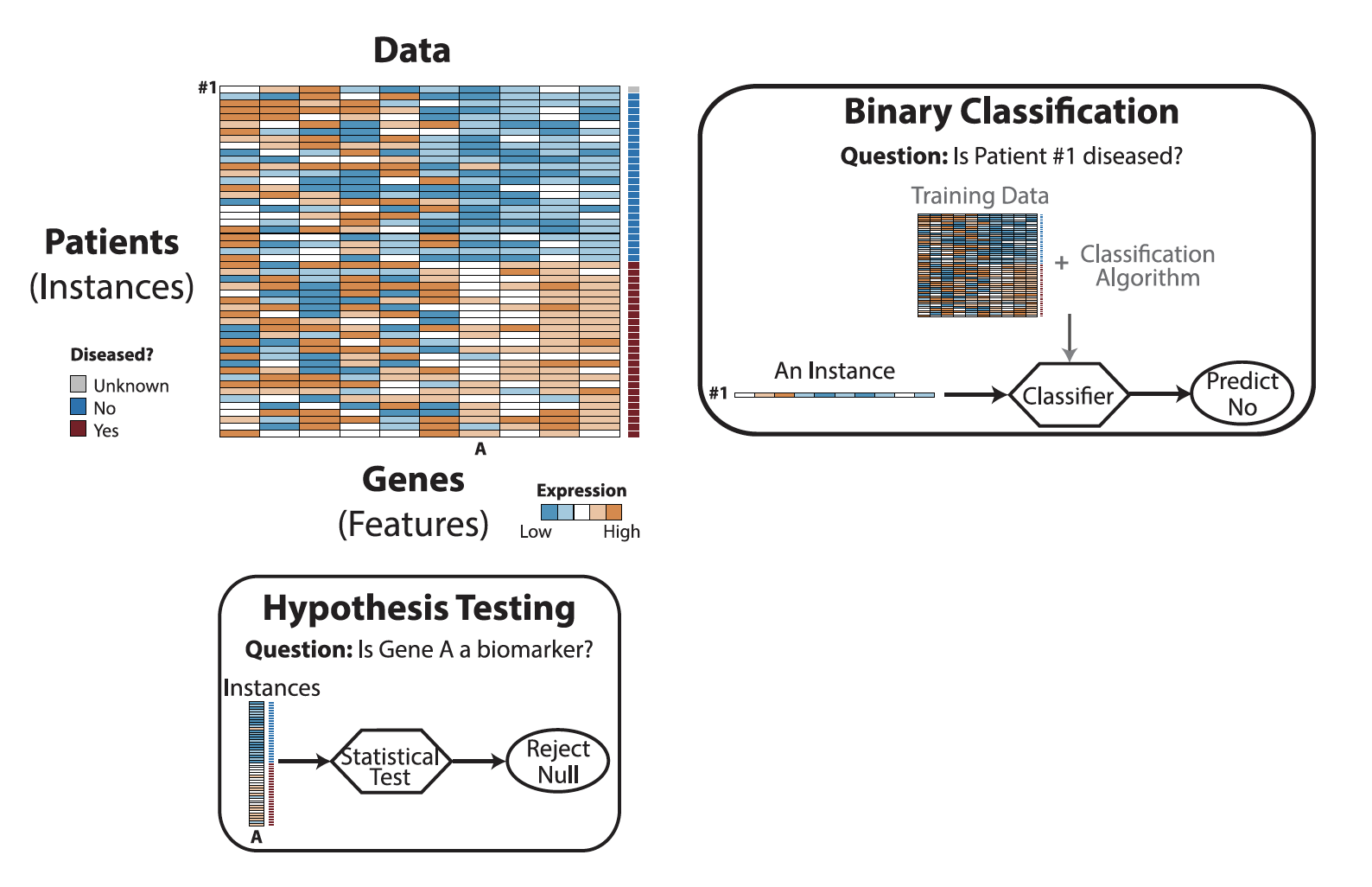 Figure 1. Illustration of a Gene Expression Dataset and Two Questions to Be Addressed by Hypothesis Testing and Binary Classification, Respectively Hypothesis testing uses all the available instances to address a feature-related question: is a gene a biomarker with different expression levels in healthy and diseased patients? Binary classification answers an instance-related question: is a patient diseased?