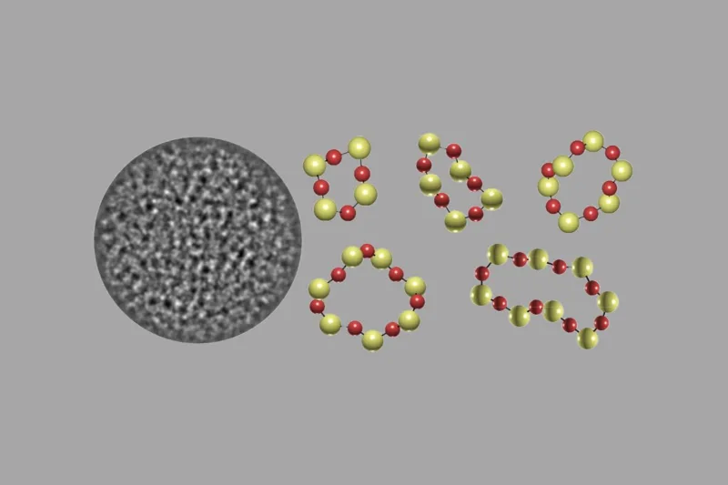 a rendition of the three-dimensional positions and elemental identities of atoms in amorphous materials.