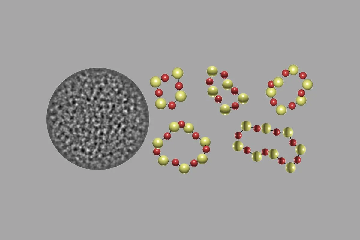 a rendition of the three-dimensional positions and elemental identities of atoms in amorphous materials.